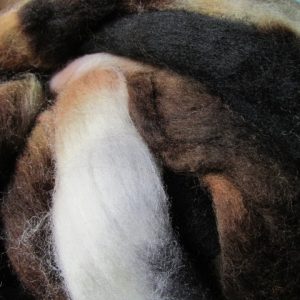 Black, Brown and Grays