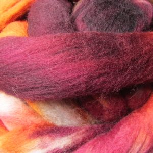 The Colors Of Autumn