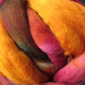 Bright Colors Of Autumn